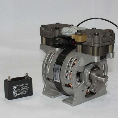 65w Small Oilless Air Compressor For Oxygen Generator GSE 1L AC 220V
